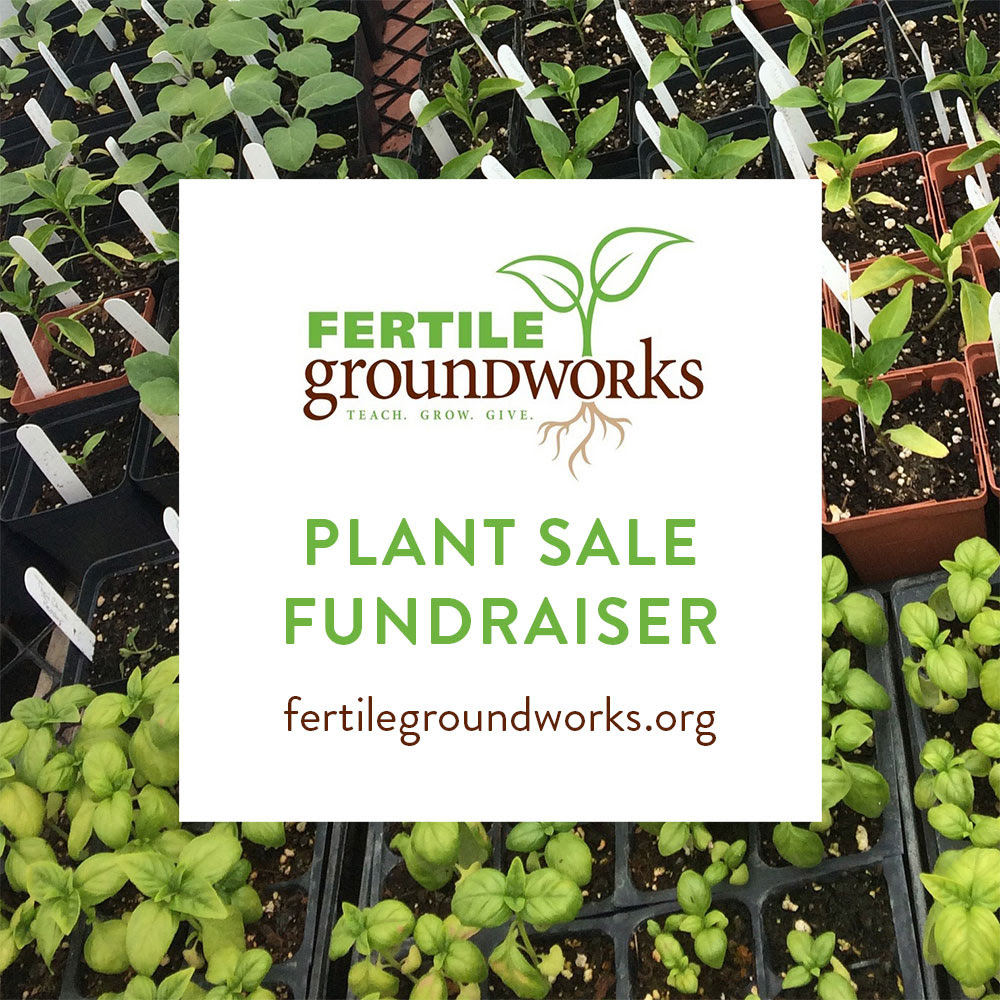 Plant Sale Fundraiser